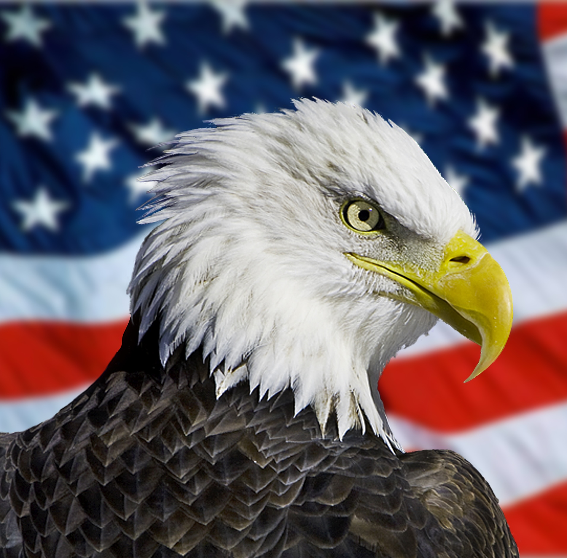 most patriotic states