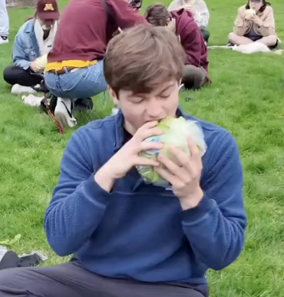 eat a head of lettuce