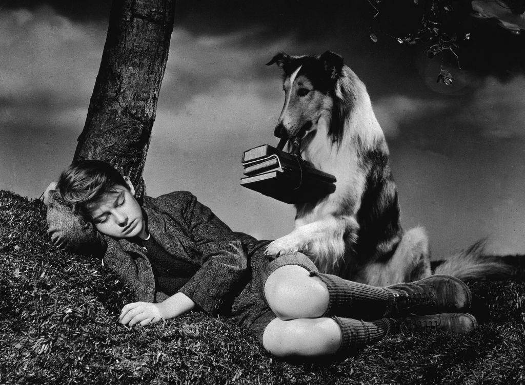 lassie come home books